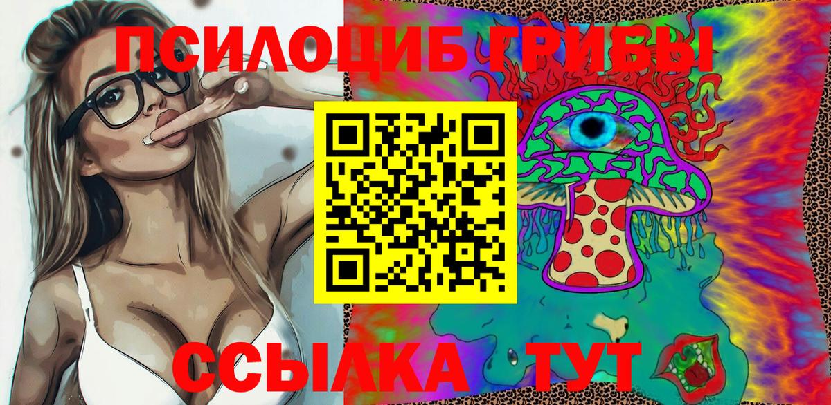 Псилоцибиновые грибы Psilocybe Кувандык