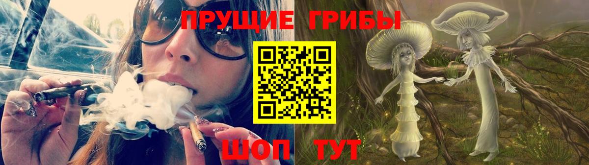 Псилоцибиновые грибы MAGIC MUSHROOMS  Галлюциногенные грибы Cubensis  Кувандык  Вход с VPN 