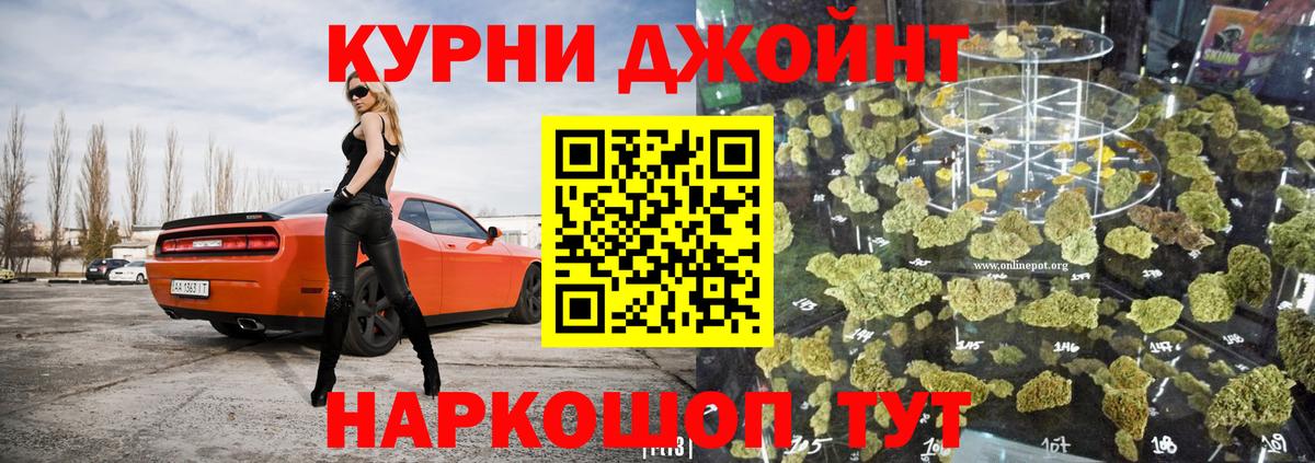 Канабис гибрид Кувандык